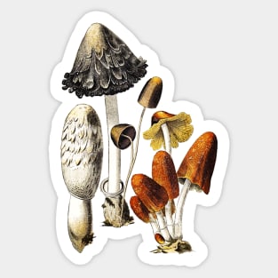 Mushrooms and Fungi Sticker